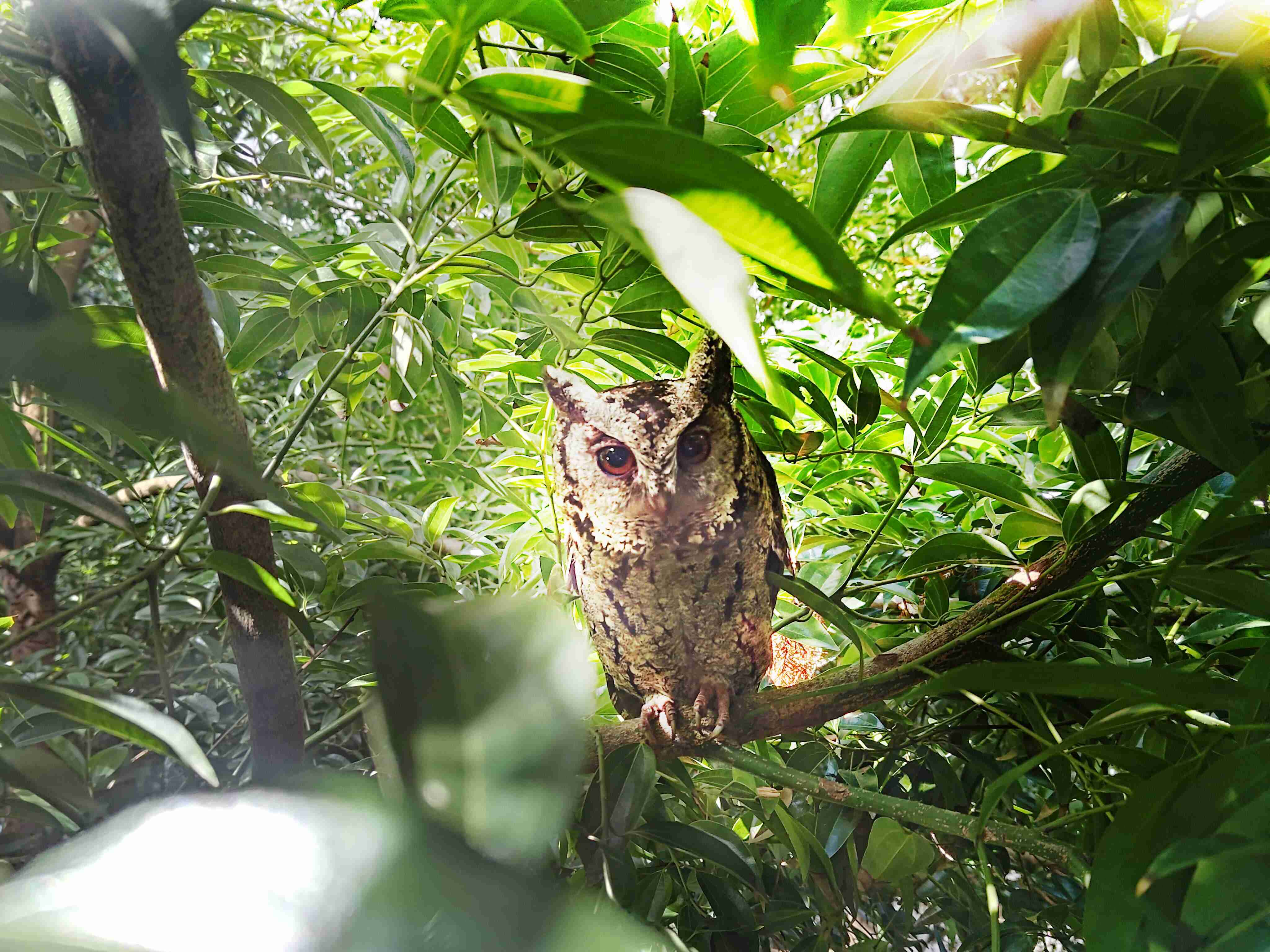 壹号平台致力提倡净零绿生活，，，16年以来在全球各厂区植树逾百万棵，，造就各厂区树木蔚然成林，，，犹如森林工厂，，，成为许多生物的栖息地
